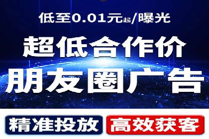 竞价广告的投放策略与效果评估——以一成功企业为例